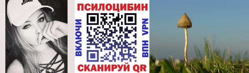Псилоцибиновые грибы прущие грибы  shop телеграм  Морозовск  купить  сайты 