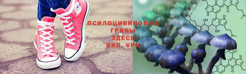 площадка официальный сайт  где найти   Морозовск  Галлюциногенные грибы прущие грибы 