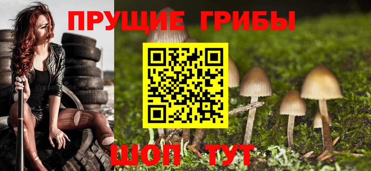 Псилоцибиновые грибы Psilocybine cubensis  Вход с VPN  Морозовск 