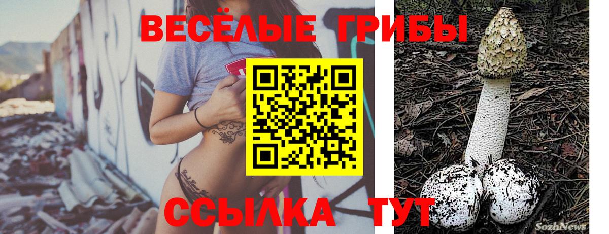 Галлюциногенные грибы прущие грибы  что такое   Морозовск 